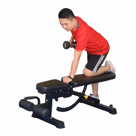 Sentado plegable ajustable multifunción de fuerza