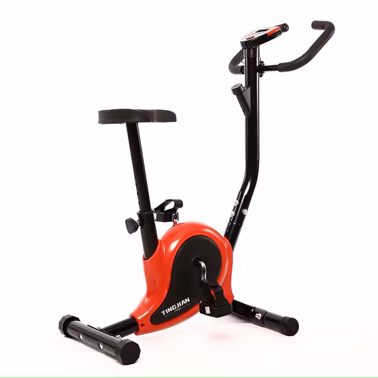 Bicicleta elíptica magnética profesional para el hogar