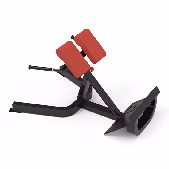 Silla romana del gimnasio del banco de la hiperextensión de la extensión trasera ajustable de la venta de la fábrica