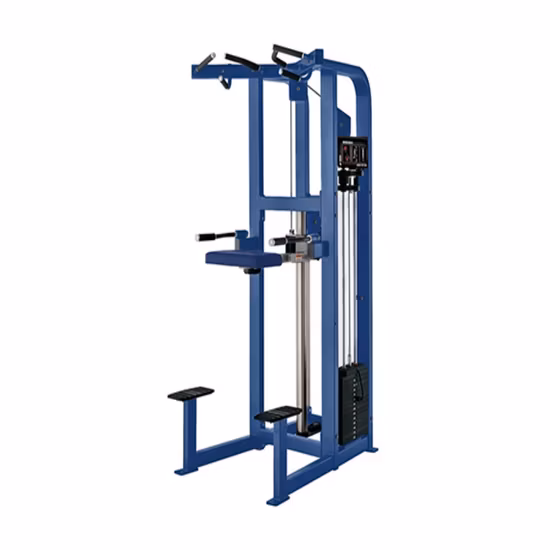 Shuyou Te-máquina de entrenamiento profesional de alta calidad, comercial, Multi
