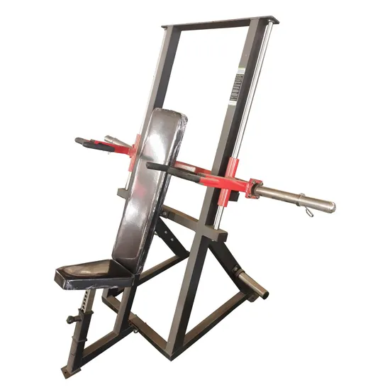 2023 Último equipo de gimnasio comercial Maxpump Sport con fila vertical